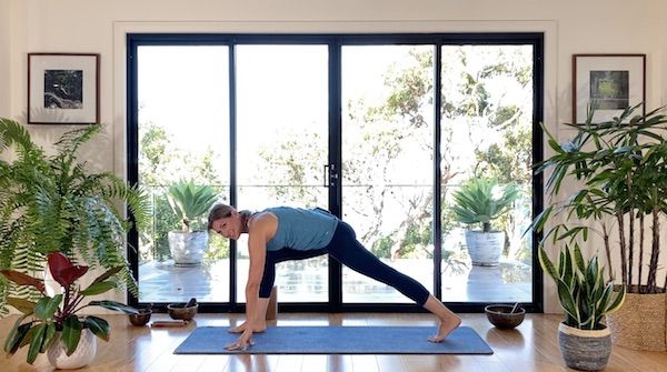 Vinyasa Essentials Session 2