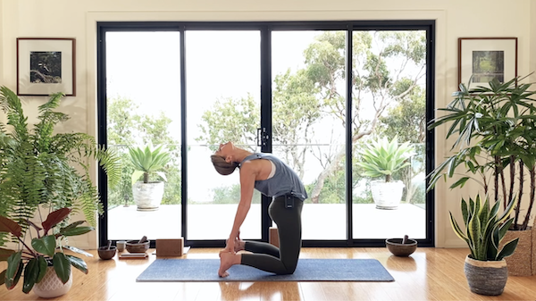 Conscious Backbending