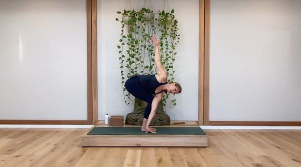 Twisting for Spinal Health